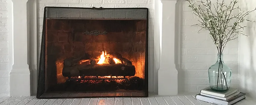 Cost-Effective Fireplace Mantel Inspection And Maintenance in San Carlos Park, FL
